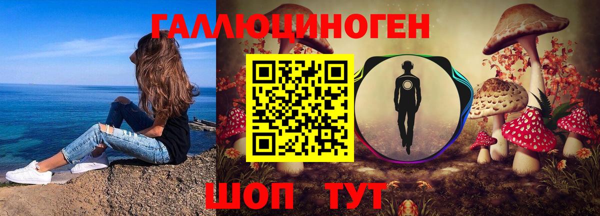 Галлюциногенные грибы Cubensis Сокол
