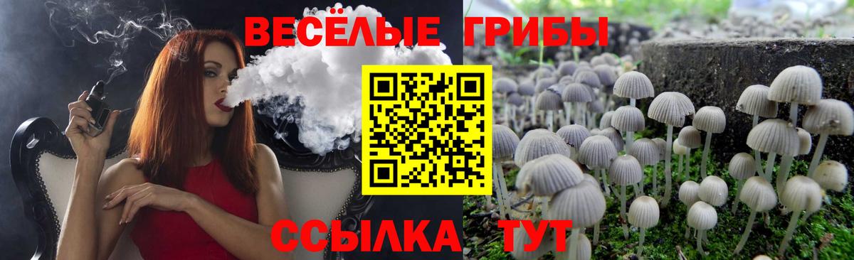 Сокол  Галлюциногенные грибы прущие грибы  Вход с VPN 